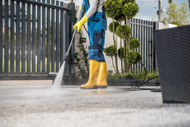 Best Deck Pressure Washing  in Ives Estates, FL