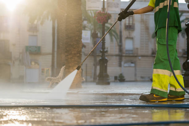 Best Roof Pressure Washing  in Ives Estates, FL