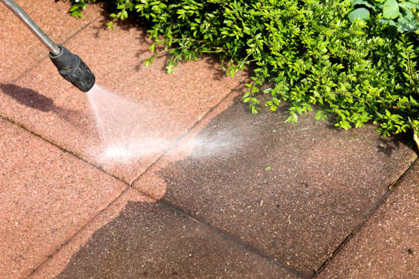 Best Pressure Washing Near Me  in Ives Estates, FL